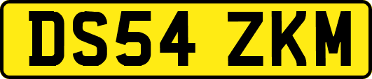DS54ZKM