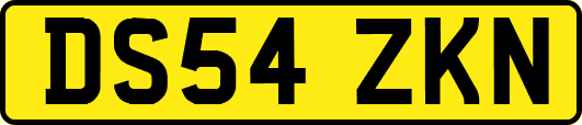 DS54ZKN