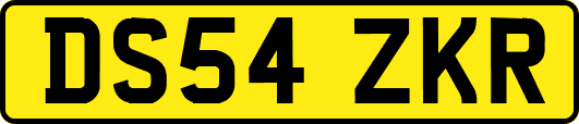 DS54ZKR
