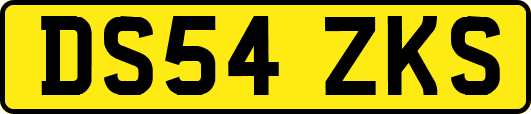 DS54ZKS