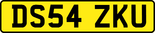 DS54ZKU