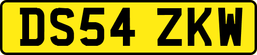 DS54ZKW