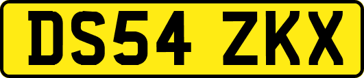 DS54ZKX