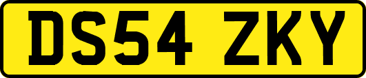 DS54ZKY