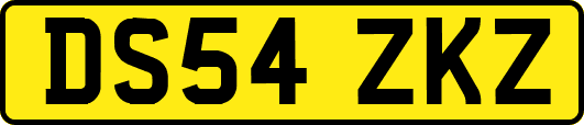 DS54ZKZ