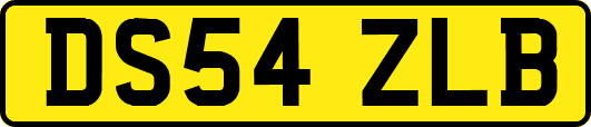 DS54ZLB