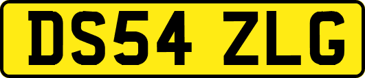 DS54ZLG