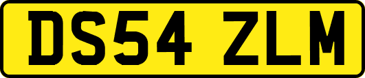 DS54ZLM
