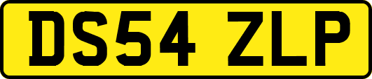 DS54ZLP