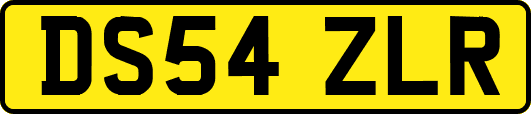 DS54ZLR