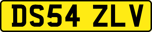 DS54ZLV