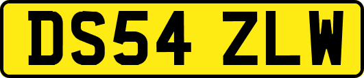 DS54ZLW