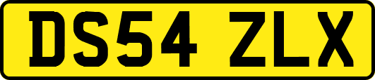 DS54ZLX
