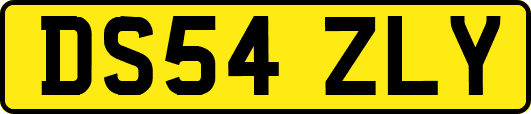 DS54ZLY
