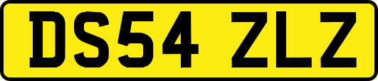 DS54ZLZ