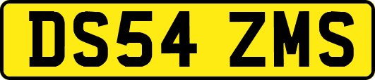 DS54ZMS
