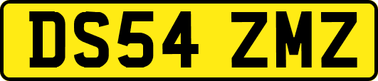 DS54ZMZ