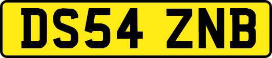 DS54ZNB