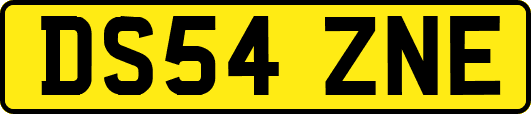 DS54ZNE