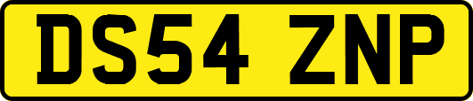 DS54ZNP