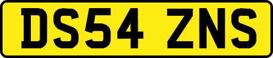 DS54ZNS