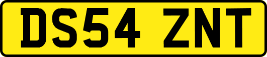 DS54ZNT