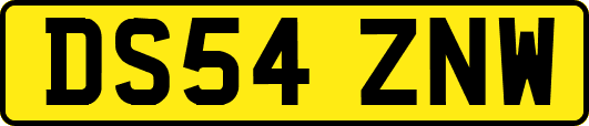 DS54ZNW