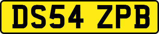 DS54ZPB