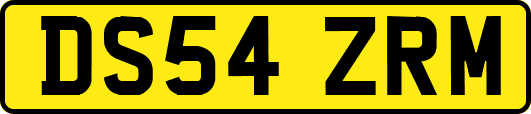 DS54ZRM