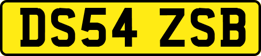 DS54ZSB