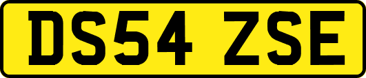 DS54ZSE