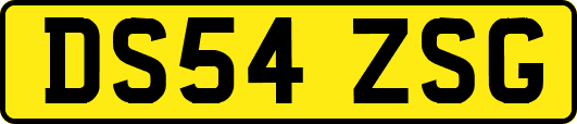 DS54ZSG