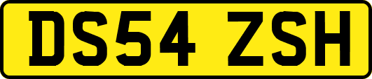 DS54ZSH
