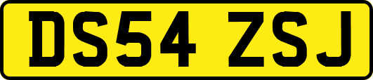 DS54ZSJ