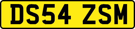 DS54ZSM