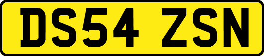 DS54ZSN