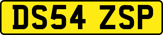 DS54ZSP
