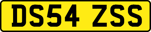 DS54ZSS