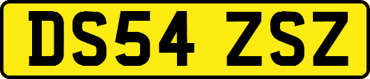 DS54ZSZ