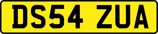 DS54ZUA