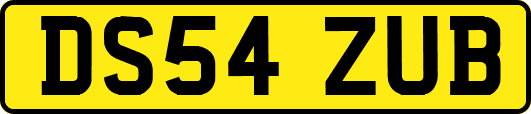 DS54ZUB