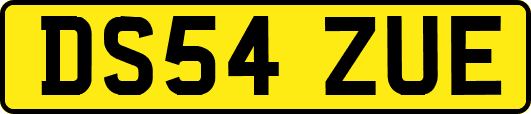 DS54ZUE