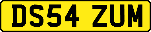 DS54ZUM