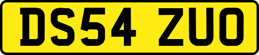 DS54ZUO