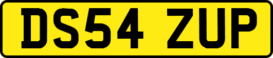DS54ZUP