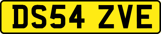 DS54ZVE