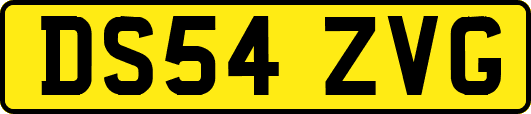 DS54ZVG