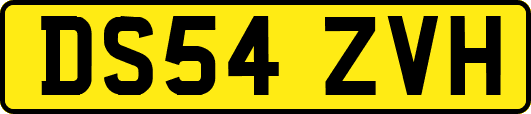 DS54ZVH