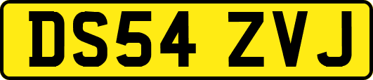DS54ZVJ