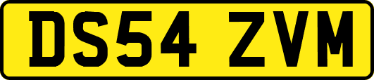 DS54ZVM